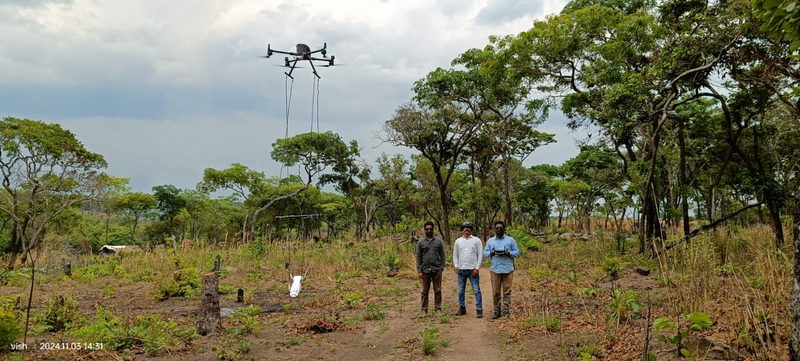 Drone-borne magnetometer flying a survey line over forested terrain